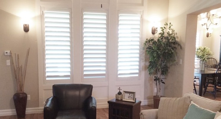 Indianapolis family room white shutters